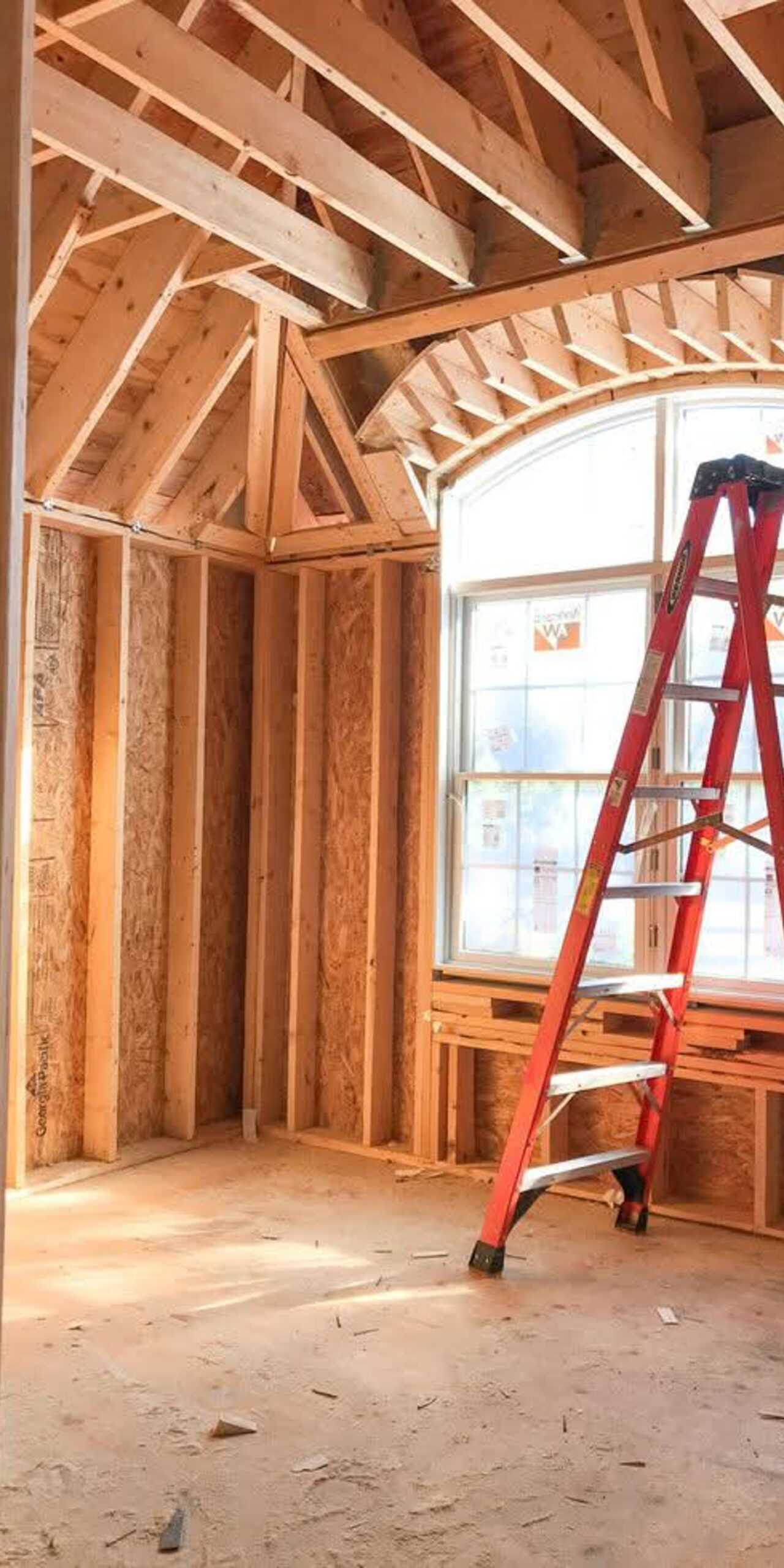 FB_IMG_1737057729279