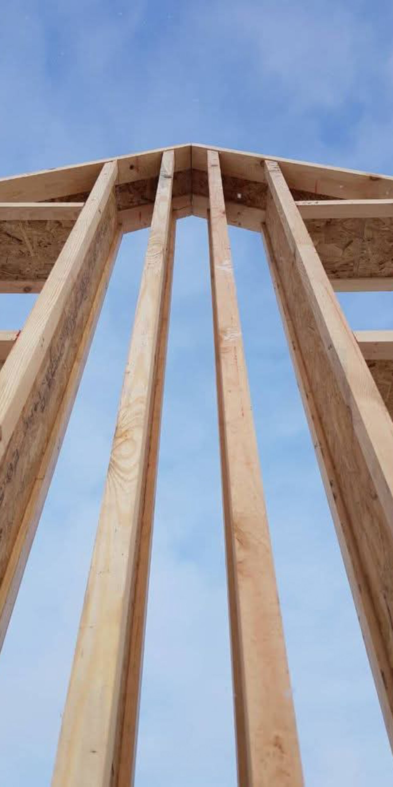 FB_IMG_1737058056846