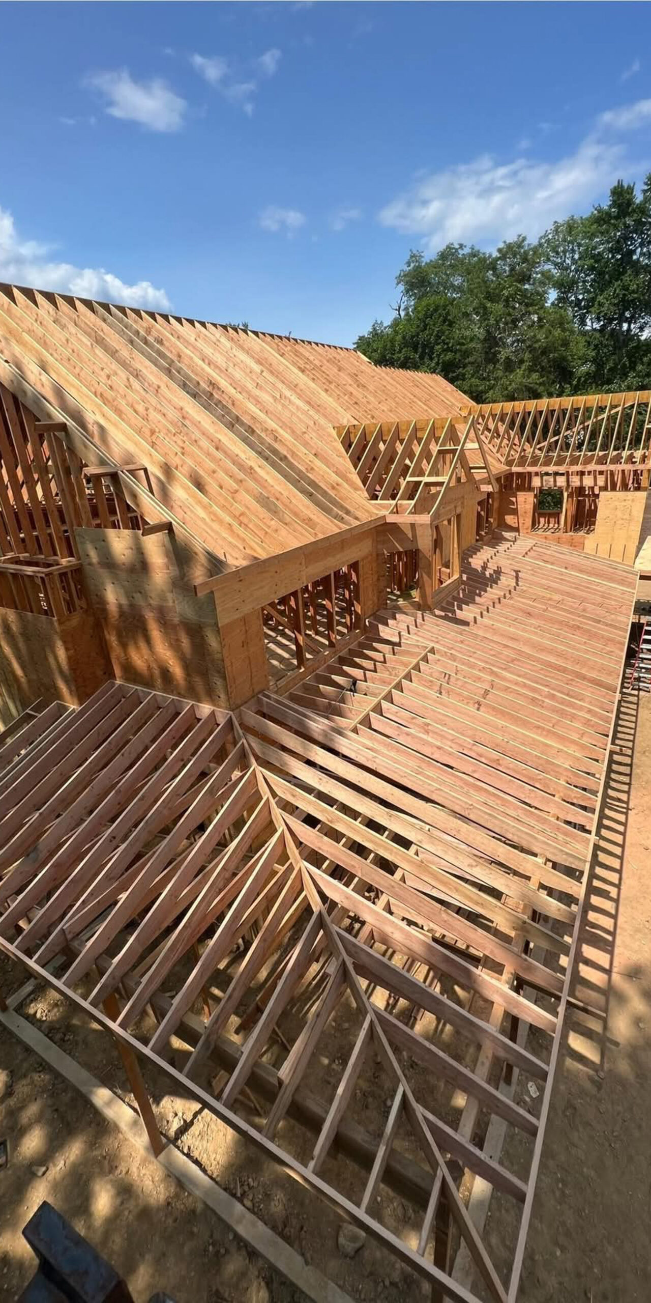 FB_IMG_1737985055543