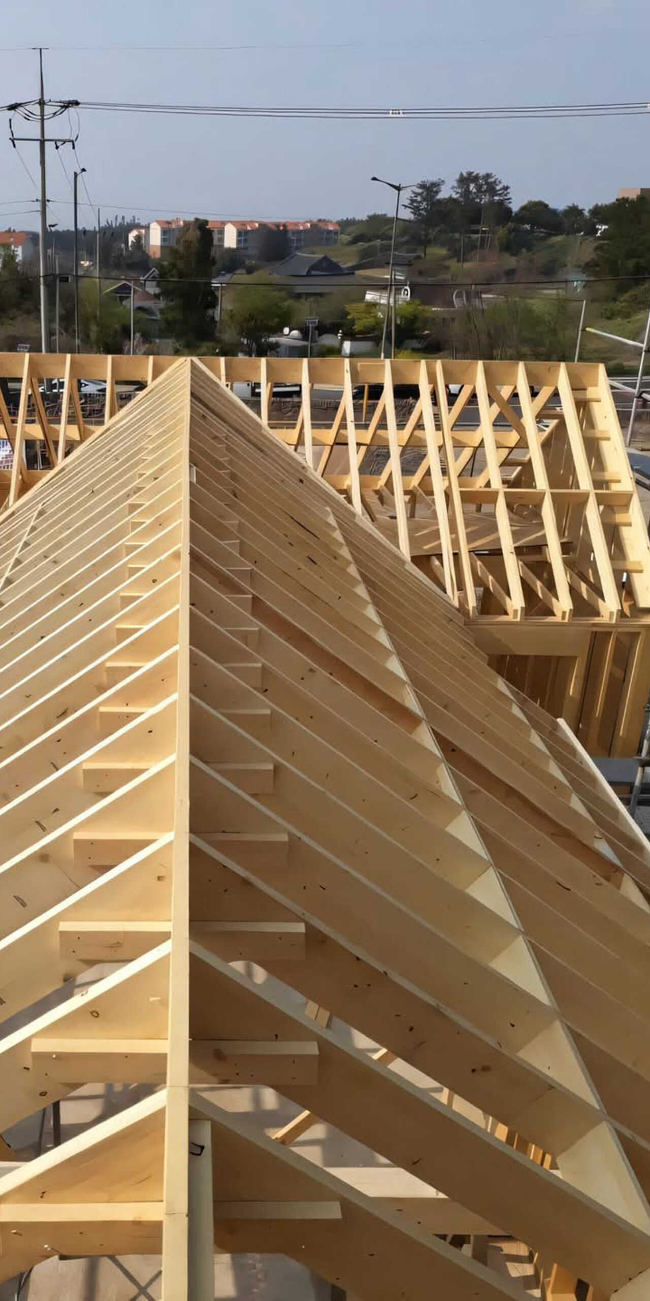 FB_IMG_1738034209921